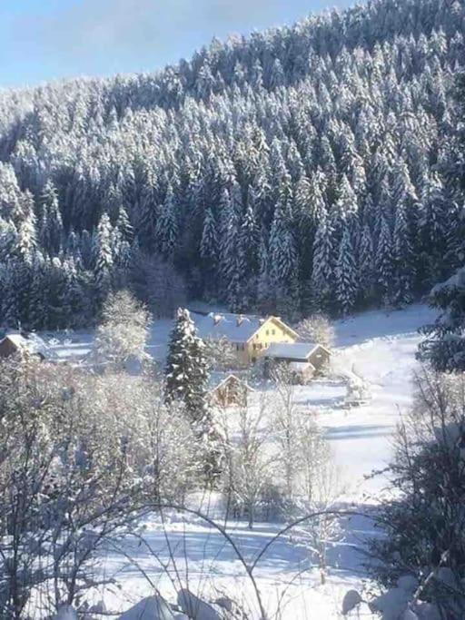 Chalet Cosy Lisiere De Foret Xonrupt-Longemer Exterior foto